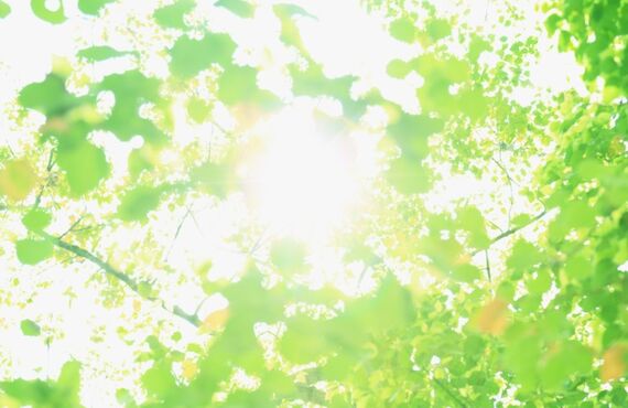 カビ除去・防カビ・カビ臭・調査(菌数)のご相談なら一貫して施工する当社へ