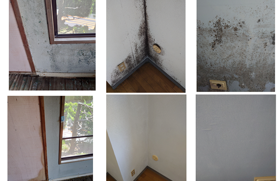 カビが育つのに必要な栄養や酸素を室内から除去することも不可能！団地や集合住宅のカビ除去のご相談はエコアースへ