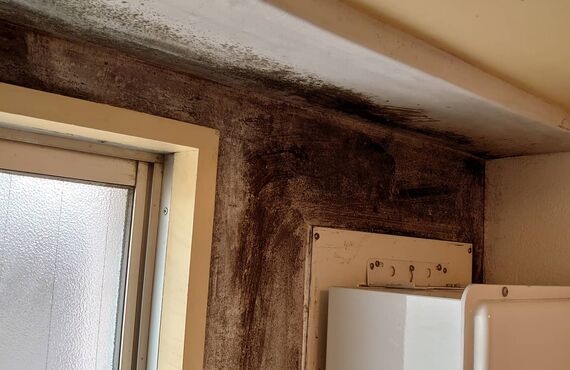  冬になると、窓やサッシの周りにびっしりと付く結露。カビやダニの発生によるアレルギーを引き起こす原因になります。