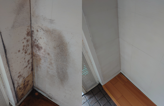 梅雨の時期に発生しやすくなるカビ。空気中に漂っているカビはいくつかの条件を満たすとすぐに繁殖します。まずはご相談を