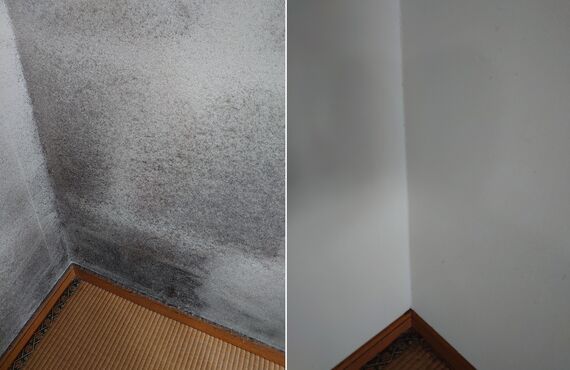 カビは家の中至るところに発生します。換気やこまめな掃除でカビ対策しましょう。ご相談はエコアースへ